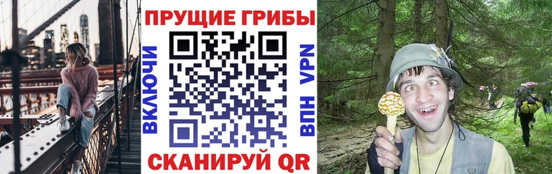 Галлюциногенные грибы мицелий продажа наркотиков мориарти состав Минусинск