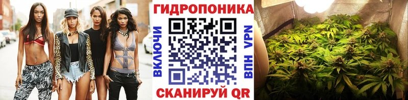 Конопля гибрид  Минусинск 